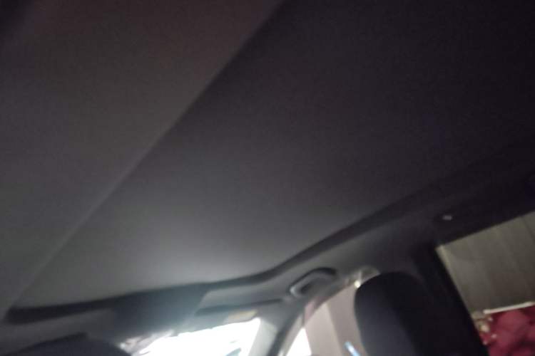 Used GAC Trumpchi GS8 2020 GS8S 390T Two-Wheel Drive Luxury Smart Connectivity Version Headliner