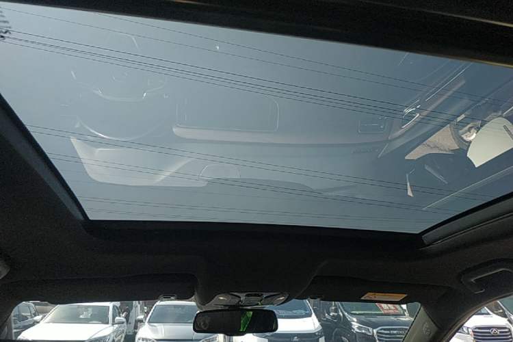 Used GAC Trumpchi GS8 2020 GS8S 390T Two-Wheel Drive Prestige Edition Headliner
