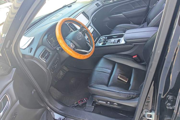Used GAC Trumpchi GS8 2020 390T Two-Wheel Drive Luxury Smart Connectivity Version (7 Seats) Left Front Seat
