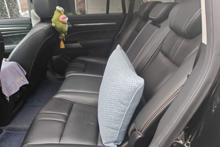 Used GAC Trumpchi GS8 2020 390T Two-Wheel Drive Luxury Smart Connectivity Version (7 Seats) Left Rear Seat