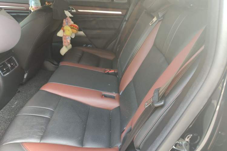 Used GAC Trumpchi GS8 2020 GS8S 390T Two-Wheel Drive Luxury Smart Connectivity Version Left Rear Seat
