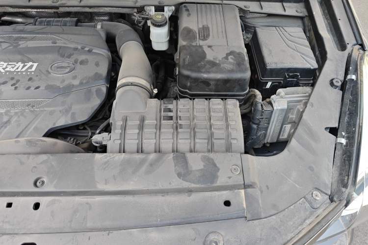 Used GAC Trumpchi GS8 2020 390T Two-Wheel Drive Luxury Smart Connectivity Version (7 Seats) Engine Bay Left