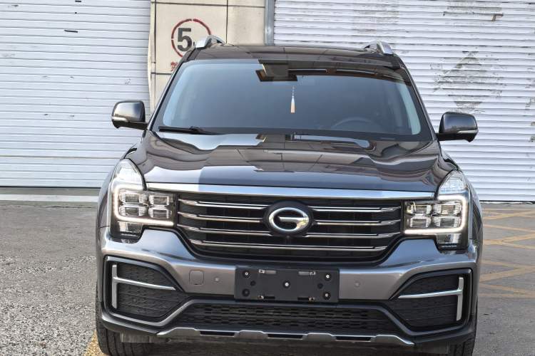 Used GAC Trumpchi GS8 2020 390T Two-Wheel Drive Luxury Smart Connectivity Version (7 Seats) Exterior 1