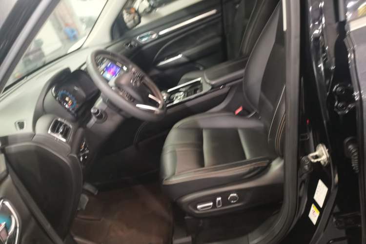 Used GAC Trumpchi GS8 2020 390T Two-Wheel Drive Luxury Smart Connectivity Version (7 Seats) Left Front Seat