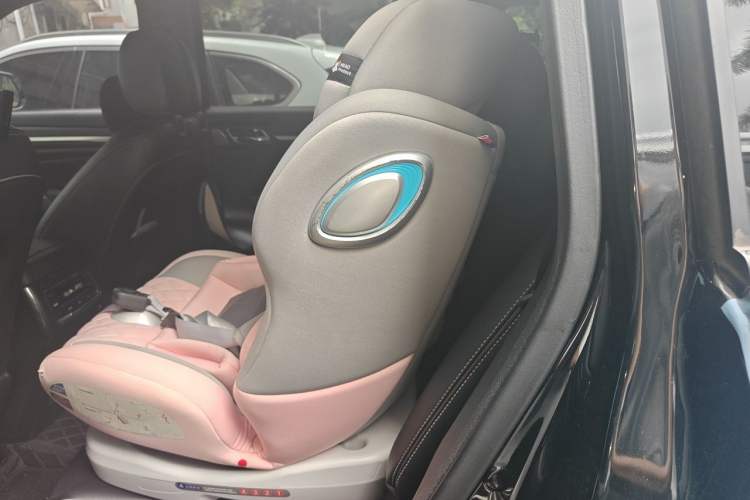 Used GAC Trumpchi GS8 2020 390T Two-Wheel Drive Luxury Smart Connectivity Version (7 Seats) Left Rear Seat