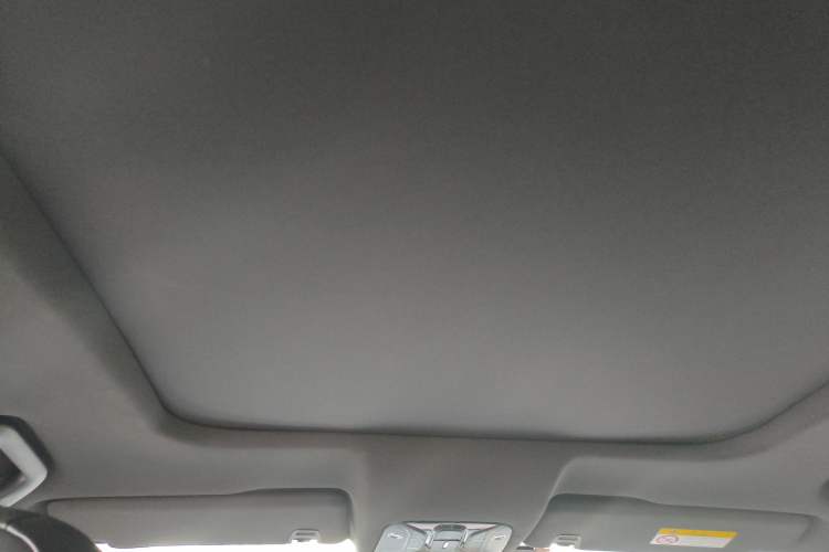 Used GAC Trumpchi GS8 2020 GS8S 390T Two-Wheel Drive Prestige Edition Headliner