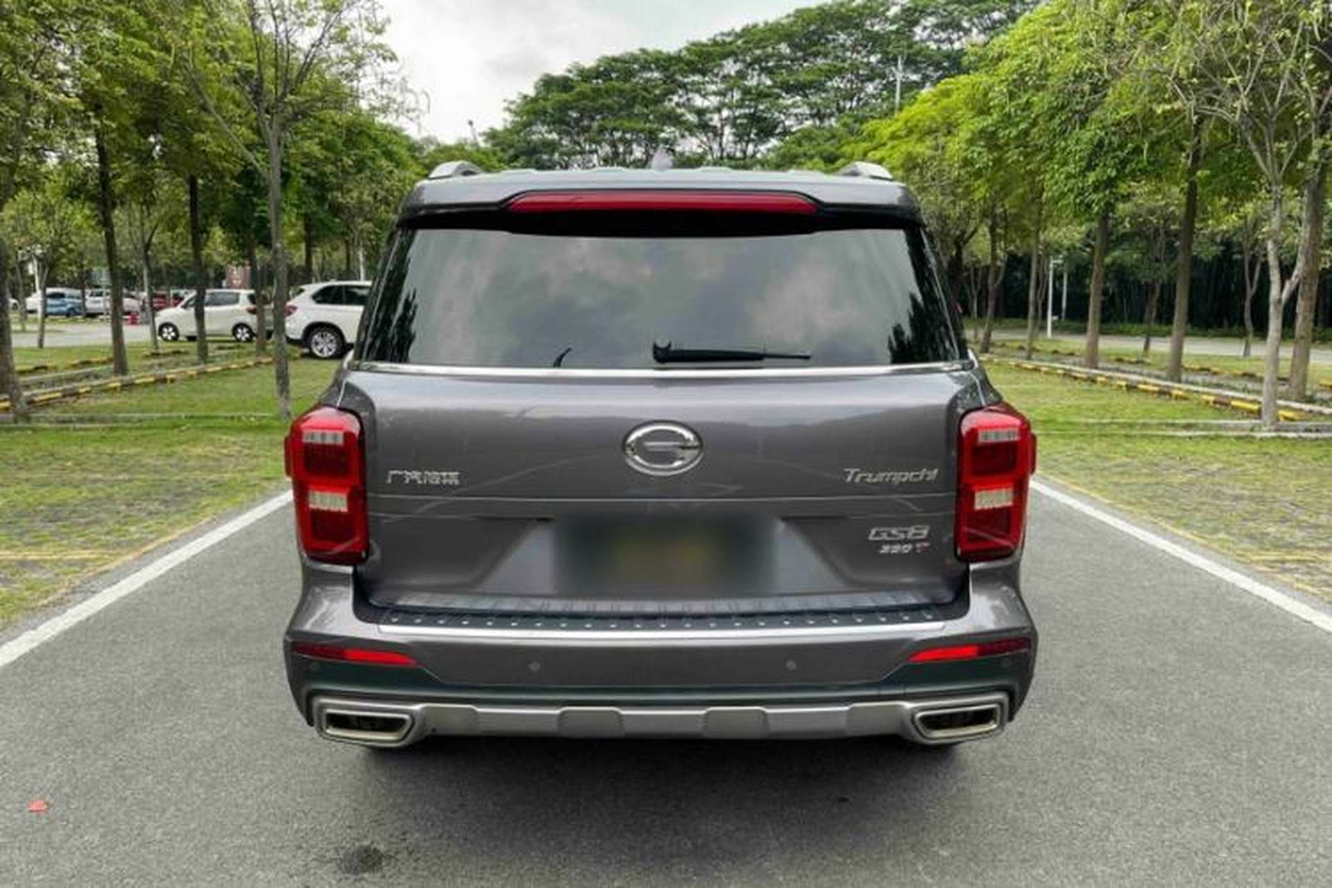 Used GAC Trumpchi GS8 2020 390T Two-Wheel Drive Luxury Smart Connectivity Version (7 Seats) Exterior 5