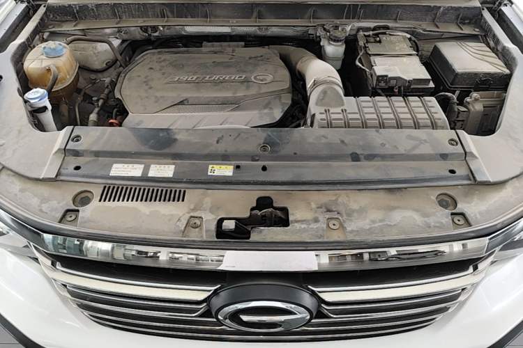 Used GAC Trumpchi GS8 2020 390T Two-Wheel Drive Luxury Smart Connectivity Commemorative Edition (7 Seats) Engine Bay