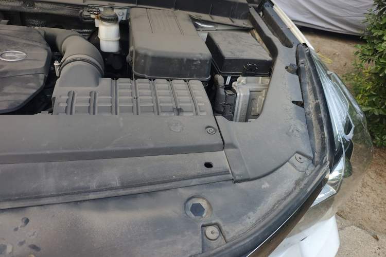 Used GAC Trumpchi GS8 2020 390T Two-Wheel Drive Luxury Smart Connectivity Version (7 Seats) Engine Bay Left