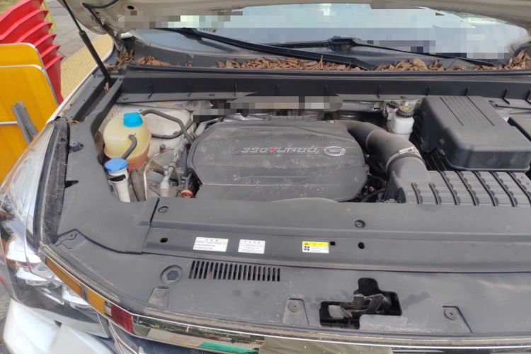 Used GAC Trumpchi GS8 2020 390T Two-Wheel Drive Luxury Smart Connectivity Version (7 Seats) Engine Bay Right