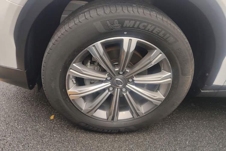 Used GAC Trumpchi GS8 2020 390T Two-Wheel Drive Luxury Smart Connectivity Version (7 Seats) Exterior 4