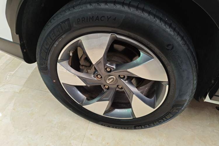 Used GAC Trumpchi GS8 2020 GS8S 390T Two-Wheel Drive Luxury Smart Connectivity Version Exterior 5