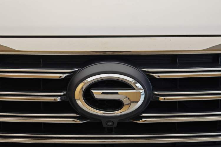 Used GAC Trumpchi GS8 2020 390T Two-Wheel Drive Luxury Smart Connectivity Version (7 Seats) Exterior 9