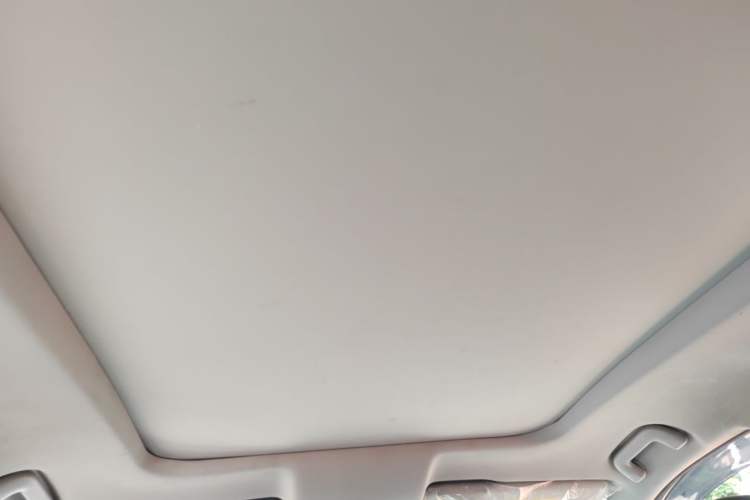 Used GAC Trumpchi GS8 2020 390T Two-Wheel Drive Luxury Smart Connectivity Version (7 Seats) Headliner