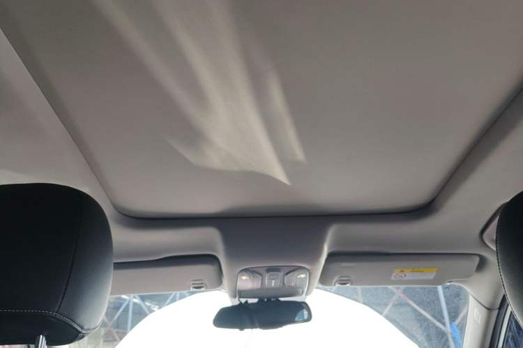 Used GAC Trumpchi GS8 2020 390T Two-Wheel Drive Luxury Smart Connectivity Commemorative Edition (7 Seats) Headliner
