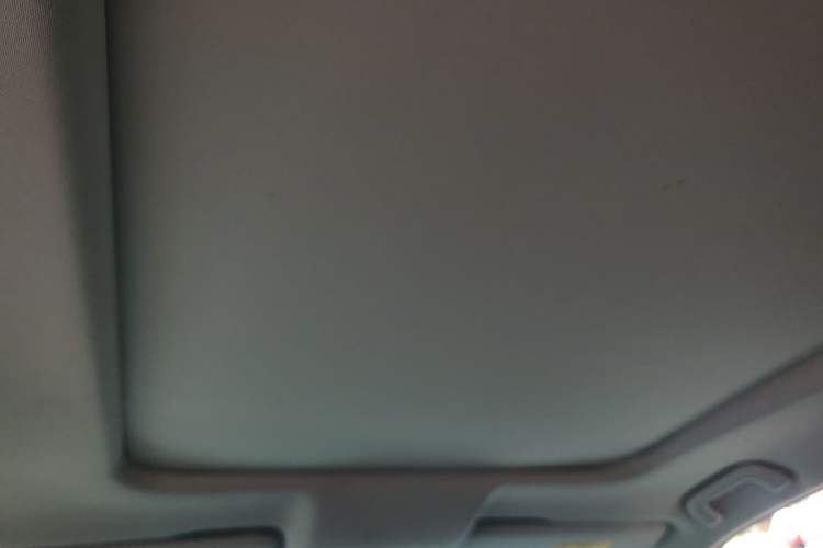 Used GAC Trumpchi GS8 2020 390T Two-Wheel Drive Luxury Smart Connectivity Version (7 Seats) Headliner