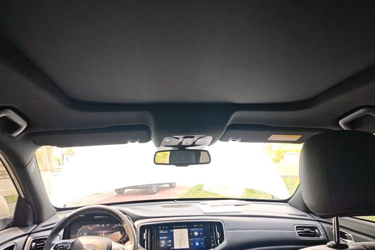 Used GAC Trumpchi GS8 2020 GS8S 390T Two-Wheel Drive Luxury Smart Connectivity Version Headliner