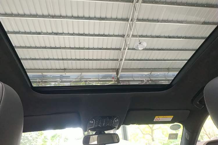 Used GAC Trumpchi GS8 2020 GS8S 390T Two-Wheel Drive Luxury Smart Connectivity Version Headliner