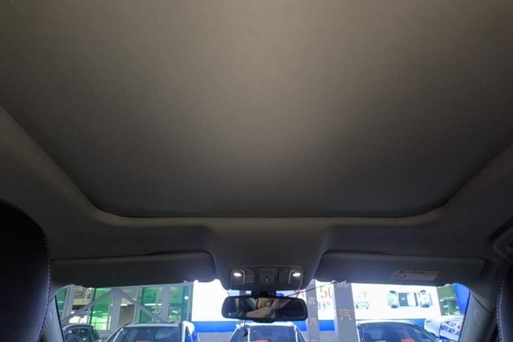 Used GAC Trumpchi GS8 2020 390T Two-Wheel Drive Luxury Smart Connectivity Version (7 Seats) Headliner