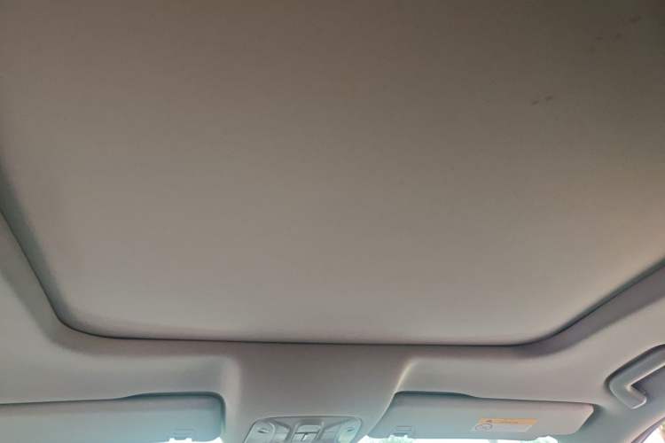 Used GAC Trumpchi GS8 2020 390T Two-Wheel Drive Luxury Smart Connectivity Version (7 Seats) Headliner