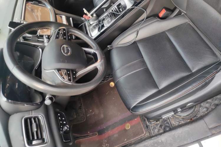 Used GAC Trumpchi GS8 2020 390T Two-Wheel Drive Luxury Smart Connectivity Version (7 Seats) Left Front Seat