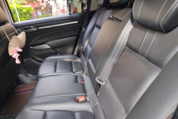 Used GAC Trumpchi GS8 2020 390T Two-Wheel Drive Luxury Smart Connectivity Version (7 Seats) Left Rear Seat