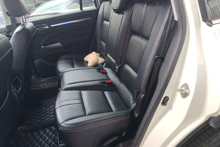 Used GAC Trumpchi GS8 2020 390T Two-Wheel Drive Luxury Smart Connectivity Commemorative Edition (7 Seats) Left Rear Seat