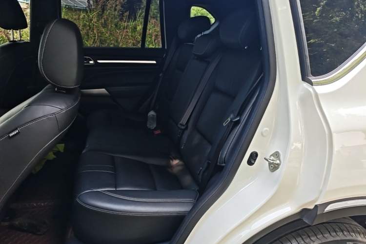 Used GAC Trumpchi GS8 2020 GS8S 390T Two-Wheel Drive Luxury Smart Connectivity Version Left Rear Seat