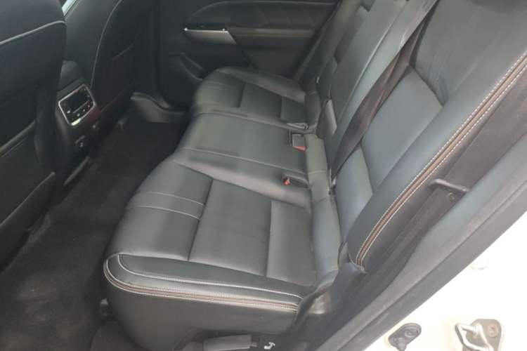 Used GAC Trumpchi GS8 2020 390T Two-Wheel Drive Luxury Smart Connectivity Version (7 Seats) Left Rear Seat