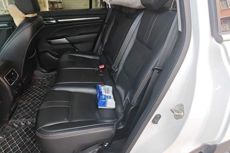 Used GAC Trumpchi GS8 2020 390T Two-Wheel Drive Luxury Smart Connectivity Commemorative Edition (7 Seats) Left Rear Seat
