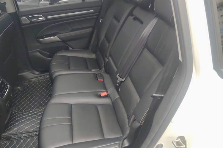 Used GAC Trumpchi GS8 2020 390T Two-Wheel Drive Luxury Smart Connectivity Version (7 Seats) Left Rear Seat