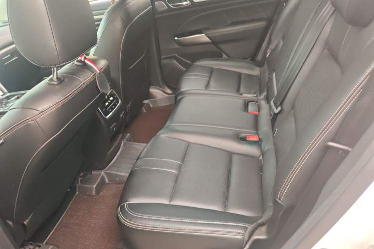 Used GAC Trumpchi GS8 2020 390T Two-Wheel Drive Luxury Smart Connectivity Version (7 Seats) Left Rear Seat