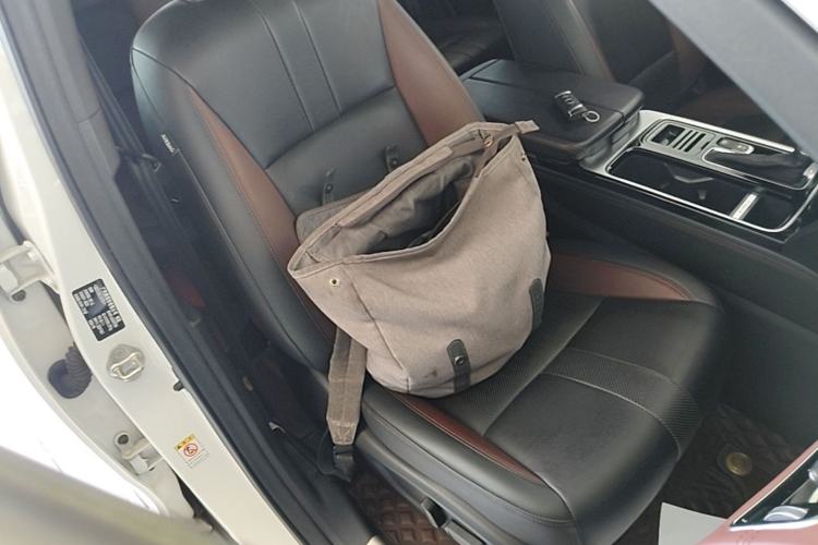 Used GAC Trumpchi GS8 2020 GS8S 390T Two-Wheel Drive Luxury Smart Connectivity Version Right Front Seat