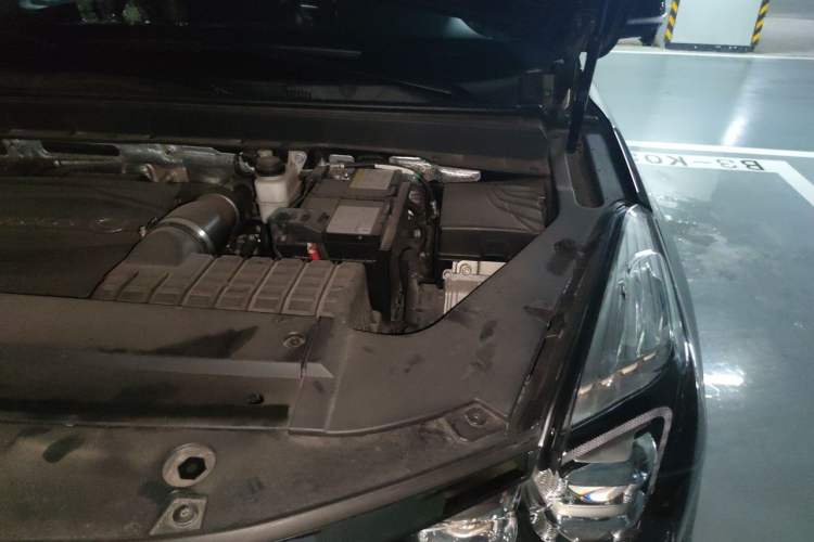 Used GAC Trumpchi GS8 2021 390T Two-Wheel Drive Luxury Smart Connect & Drive Edition (7 Seats) Engine Bay Left