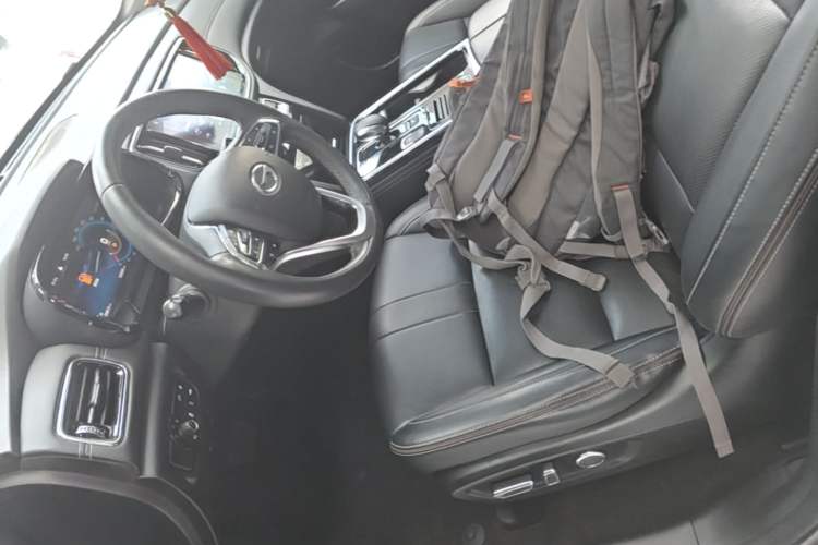 Used GAC Trumpchi GS8 2021 390T Two-Wheel-Drive Dark Knight Edition Left Front Seat