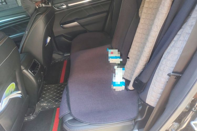 Used GAC Trumpchi GS8 2021 390T Two-Wheel Drive Luxury Smart Connect & Drive Edition (7 Seats) Left Rear Seat