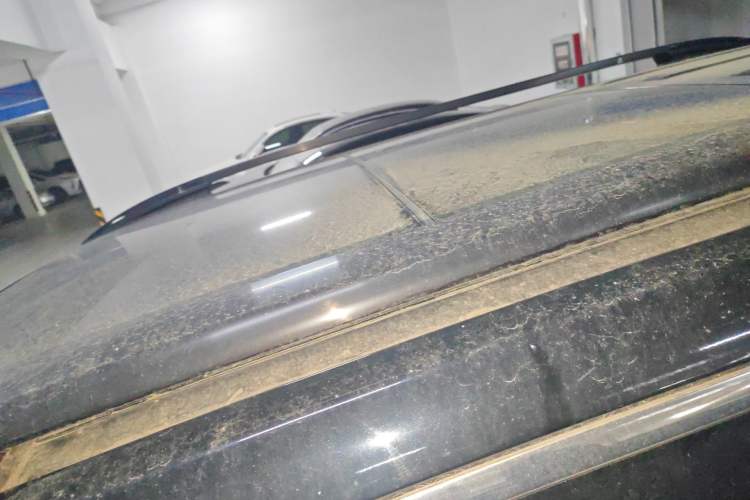 Used GAC Trumpchi GS8 2021 390T Two-Wheel-Drive Dark Knight Edition Roof