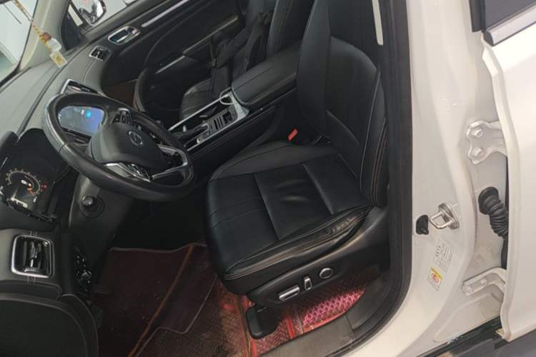 Used GAC Trumpchi GS8 2021 390T Two-Wheel Drive Luxury Smart Connect & Drive Edition (7 Seats) Left Front Seat