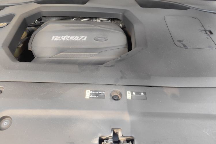 Used GAC Trumpchi GS8 2022 Flagship Series 2.0 TGDI Two-Wheel-Drive Prestige Edition (7 Seats) Engine Bay