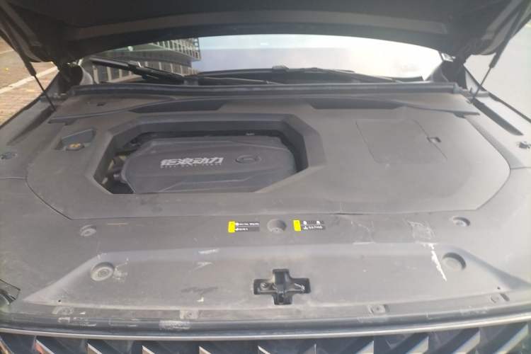Used GAC Trumpchi GS8 2022 LINGHANG Series 2.0 TGDI Two-Wheel-Drive Luxury Edition (7 Seats) Engine Bay