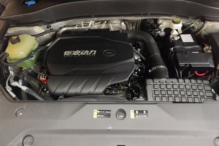 Used GAC Trumpchi GS8 2022 Linghang Series 2.0 TGDI Two-Wheel-Drive Luxury Smart Connectivity Version (7 Seats) Engine Bay