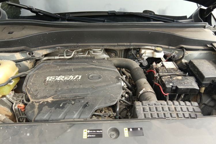 Used GAC Trumpchi GS8 2022 Linghang Series 2.0 TGDI Two-Wheel-Drive Luxury Smart Connectivity Version (7 Seats) Engine Bay