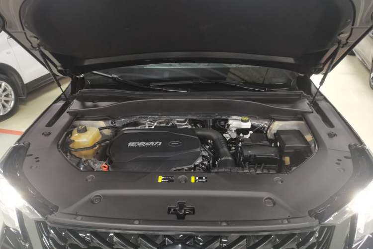Used GAC Trumpchi GS8 2022 Linghang Series 2.0 TGDI Two-Wheel-Drive Luxury Smart Connectivity Version (7 Seats) Engine Bay