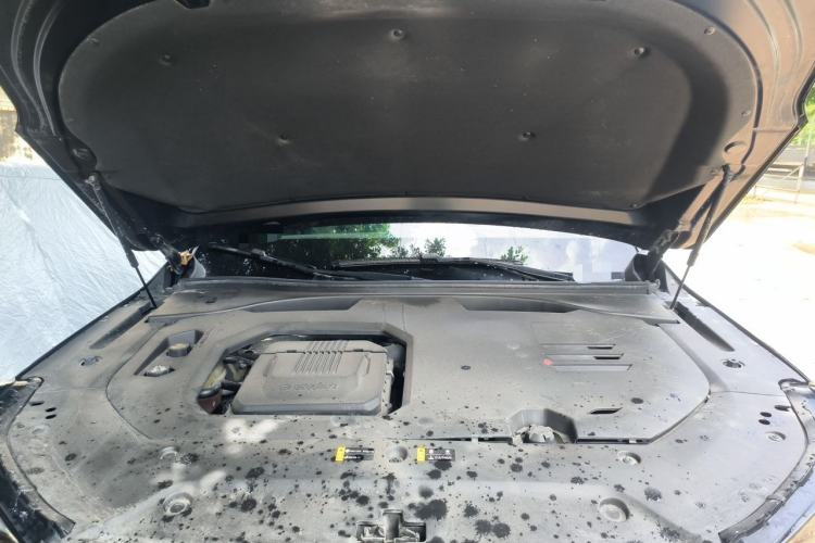 Used GAC Trumpchi GS8 2022 Dual-Engine Series 2.0TM Two-Wheel Drive Prestige Edition (7 Seats) Engine Bay