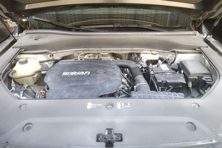 Used GAC Trumpchi GS8 2022 Linghang Series 2.0 TGDI Two-Wheel-Drive Luxury Smart Connectivity Version (7 Seats) Engine Bay