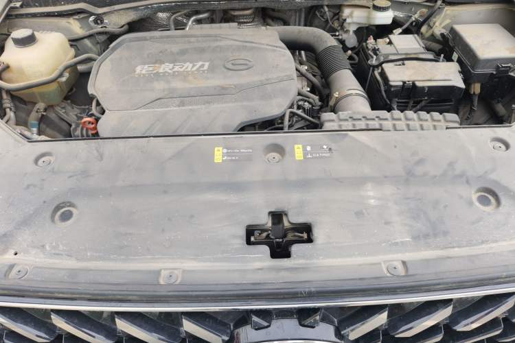 Used GAC Trumpchi GS8 2022 Linghang Series 2.0 TGDI Two-Wheel-Drive Luxury Smart Connectivity Version (7 Seats) Engine Bay