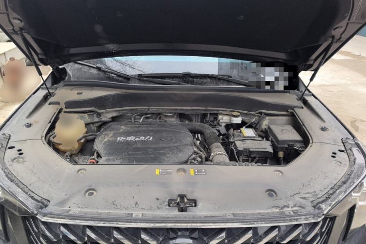Used GAC Trumpchi GS8 2022 Linghang Series 2.0 TGDI Two-Wheel-Drive Luxury Smart Connectivity Version (7 Seats) Engine Bay