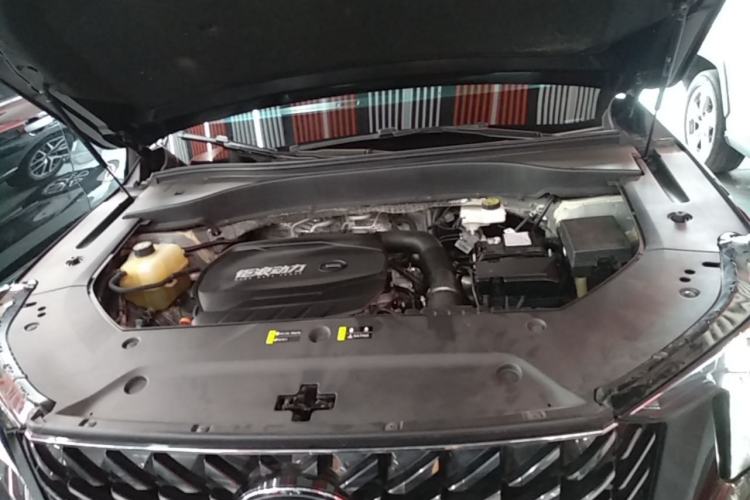 Used GAC Trumpchi GS8 2022 Linghang Series 2.0 TGDI Two-Wheel-Drive Luxury Smart Connectivity Version (7 Seats) Engine Bay