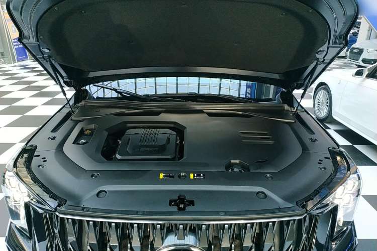 Used GAC Trumpchi GS8 2022 Dual-Engine Series 2.0TM Two-Wheel Drive Prestige Edition (7 Seats) Engine Bay