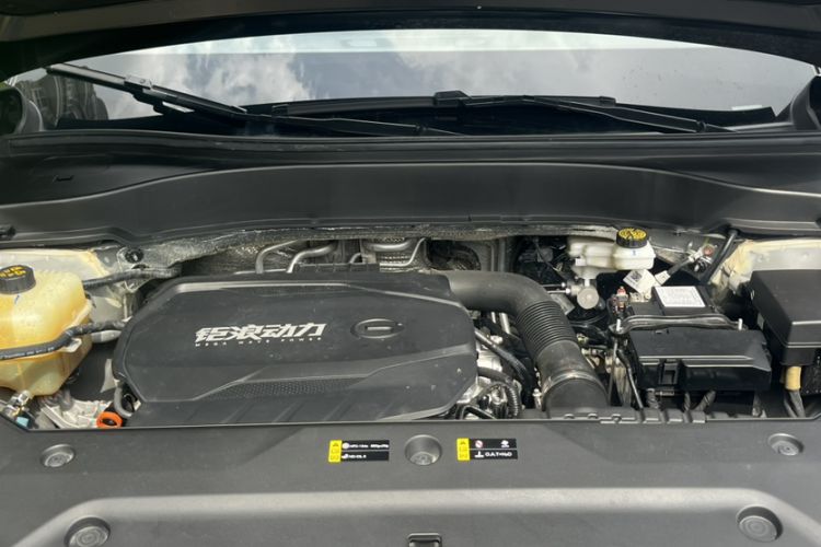 Used GAC Trumpchi GS8 2022 Linghang Series 2.0 TGDI Two-Wheel-Drive Luxury Smart Connectivity Version (7 Seats) Engine Bay